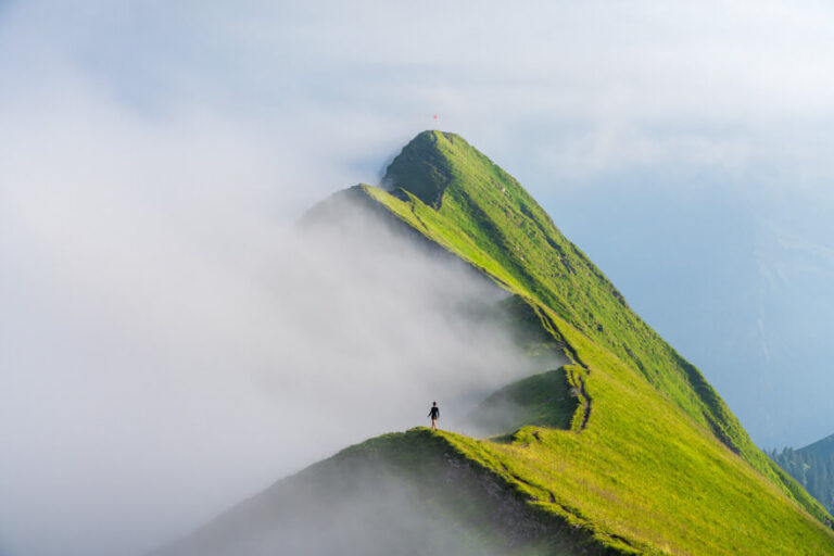 Foggy Mountain